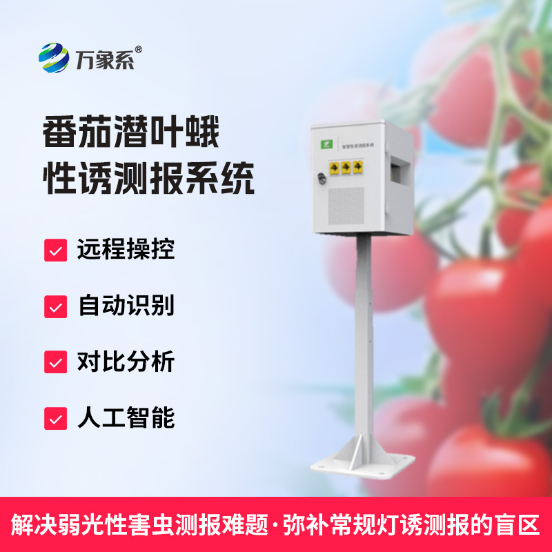 番茄潛葉蛾性誘測報系統(tǒng)：守護番茄園的科技衛(wèi)士
